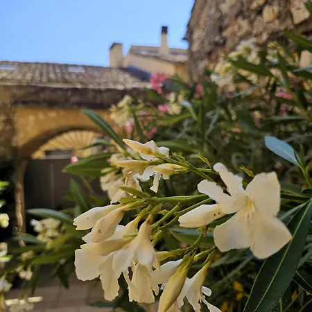 Tatil Evi Charming 10 Min From Uzes *