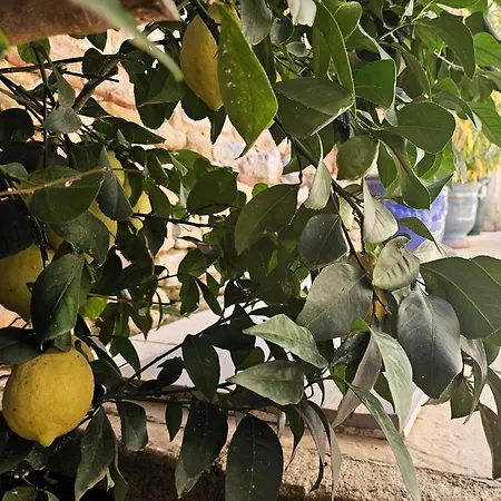 Tatil Evi Charming 10 Min From Uzes Saint-Victor-des-Oules